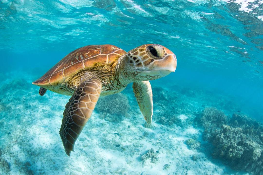 https://media.leisurecom.com/cruise/image-2026-03-23-17-00-41.webp