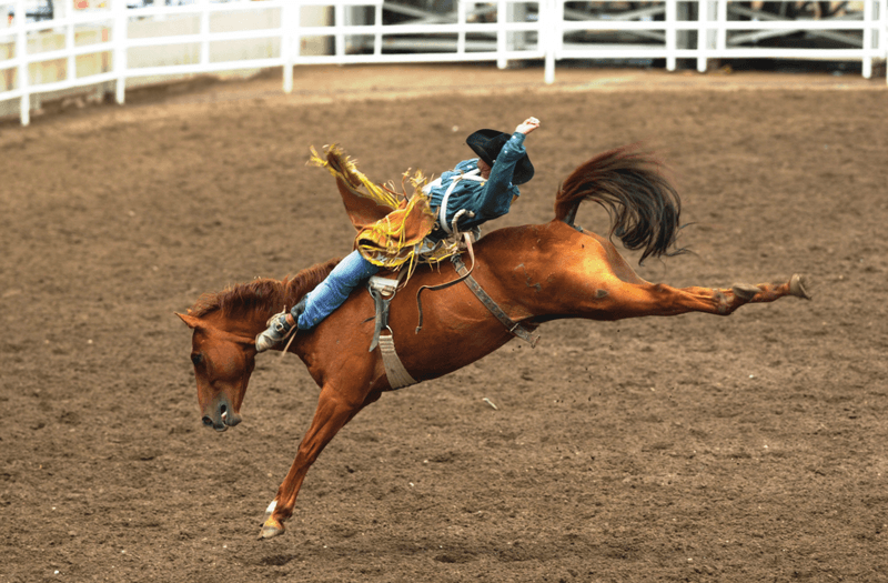 Calgary Stampede