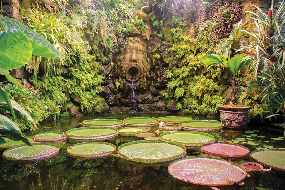 Mediterranean Islands, Romantic Gardens & A Private Small Ship Serenade