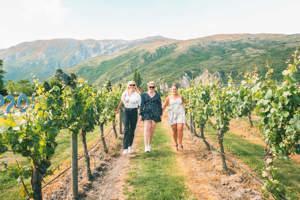 New Zealand Panorama