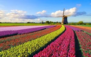 Best of Holland