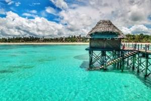 Kenya & Tanzania Safari Adventure