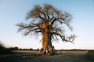 Tanzania Adventure