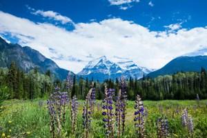Panoramic Canadian Rockies