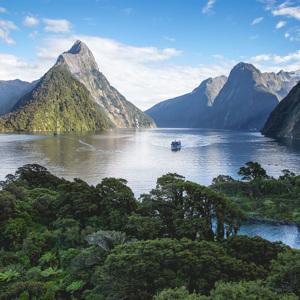 Untamed New Zealand