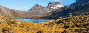 Tasmanian Wonders