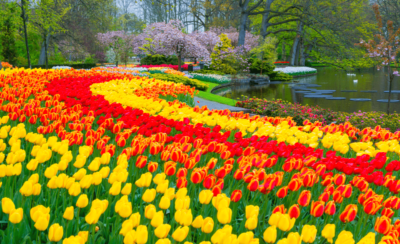 Colours of the Netherlands & Belgium