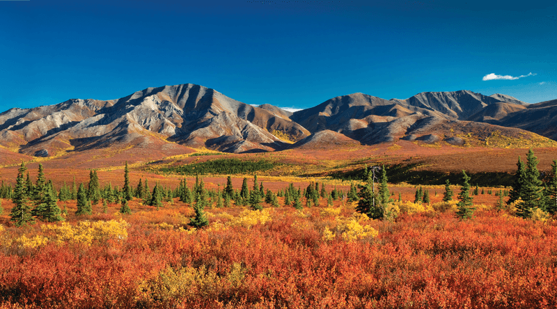 Alaskan Adventure