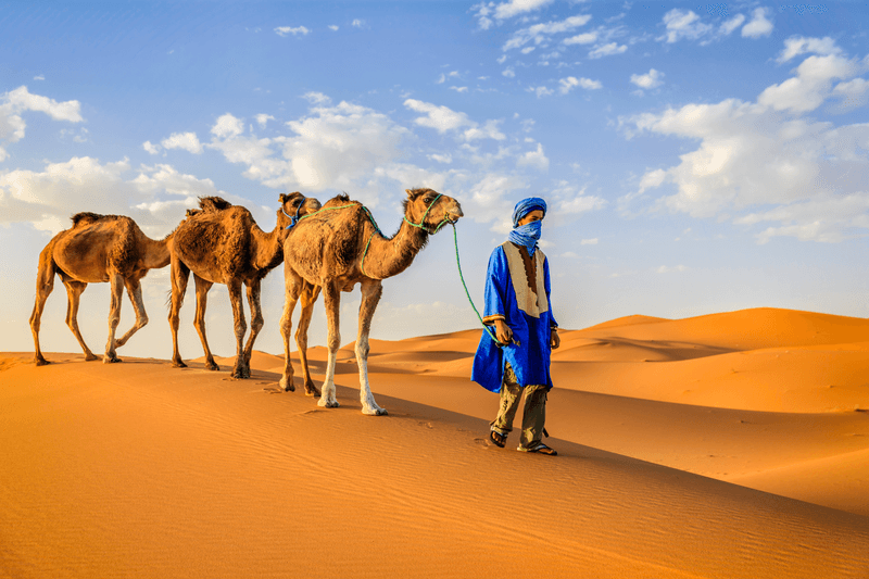 Explore Morocco