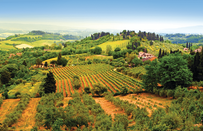 Tastes of Italy and Adriatic Jewels