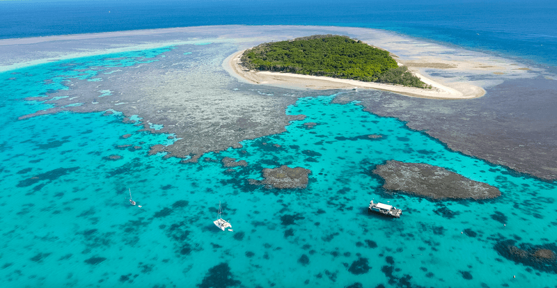 Gems of Australia: Reef & Harbour