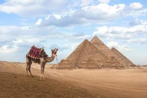 Egypt Explorer with Nile Cruise