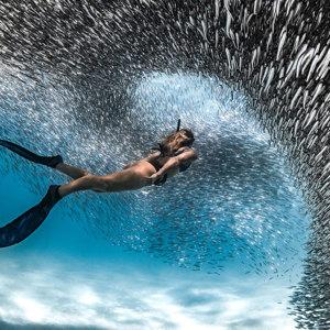 Untamed Pilbara and West Coast