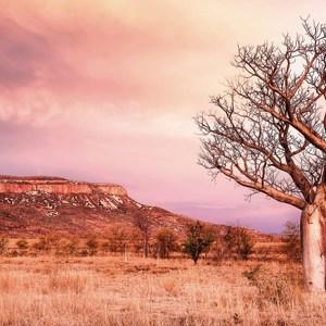 Wonders of the West Coast and Kimberley